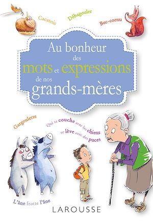 ebook cover of Au bonheur des mots et expressions de nos grands mères, by Tiphaine Desmouliere