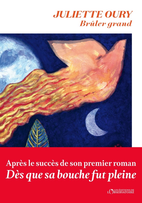 ebook cover of Brûler grand, by Juliette Oury