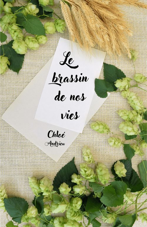 Couverture ebook de Le Brassin de nos vies, de Chloé Andrieu