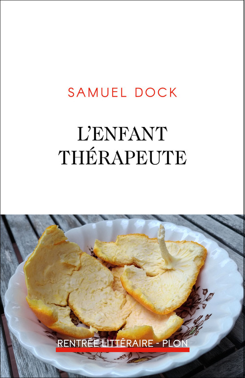 ebook cover of L'enfant thérapeute, by Samuel Dock