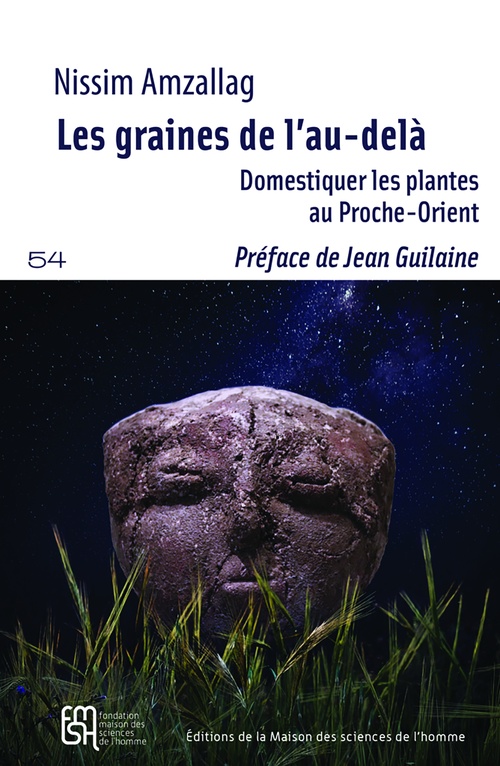 ebook cover of Les graines de l'au-delà, by Nissim Amzallag
