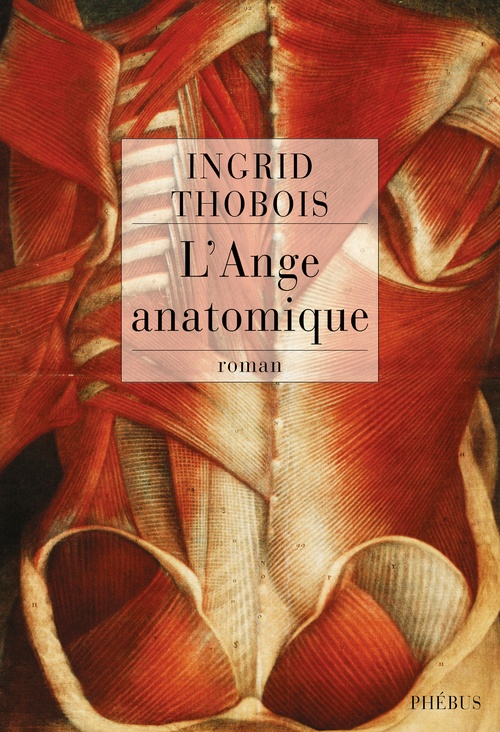 Couverture ebook de L'Ange anatomique, de Ingrid Thobois