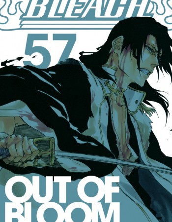 ebook cover of Bleach - Tome 57, by Tite Kubo