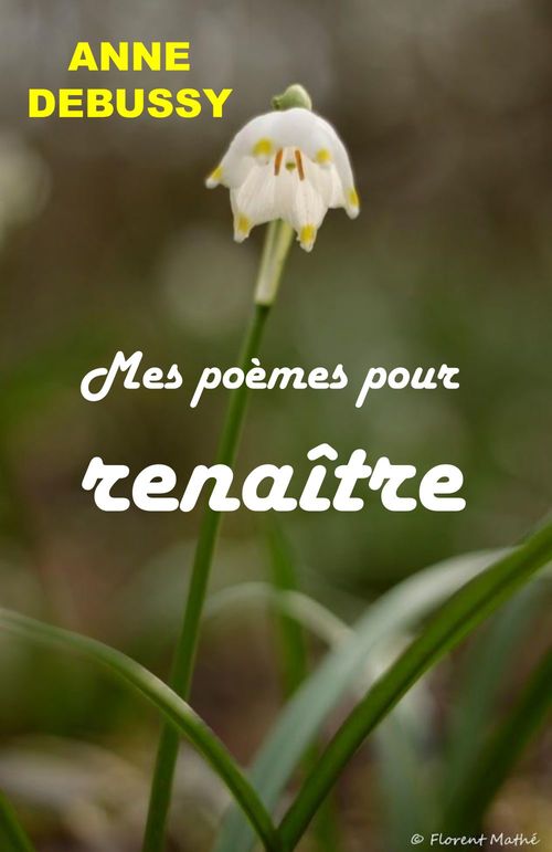 Couverture ebook de Mes poèmes pour renaître, de Anne Debussy