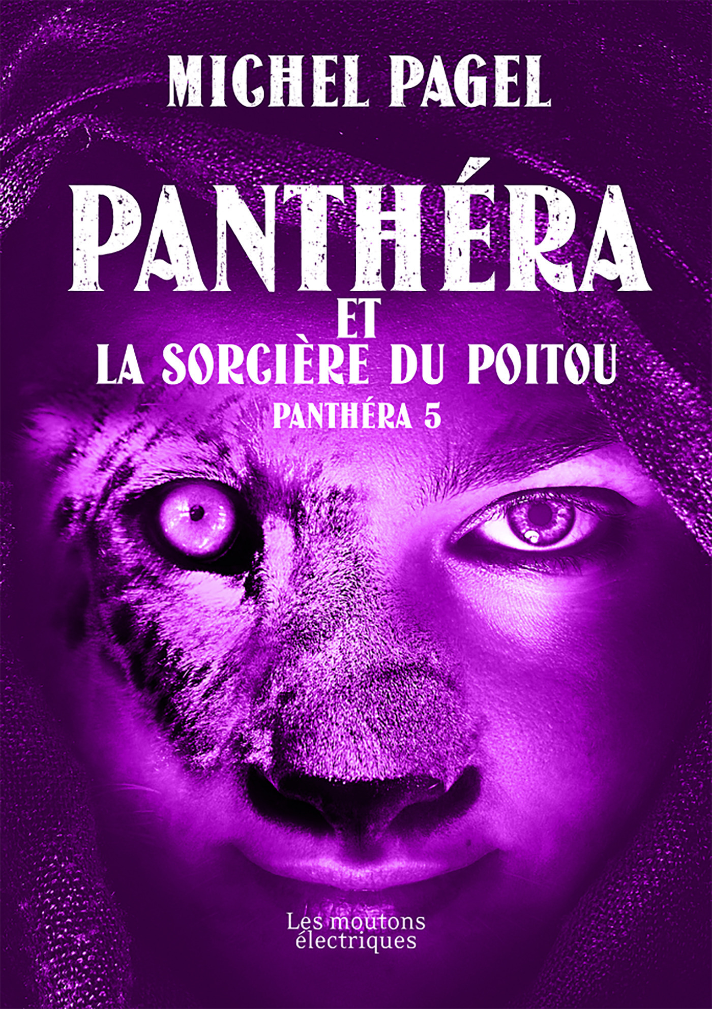 ebook cover of Panthéra et la Sorcière du Poitou, by Michel Pagel