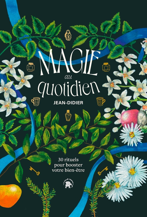 ebook cover of Magie au quotidien, by Jean-Didier