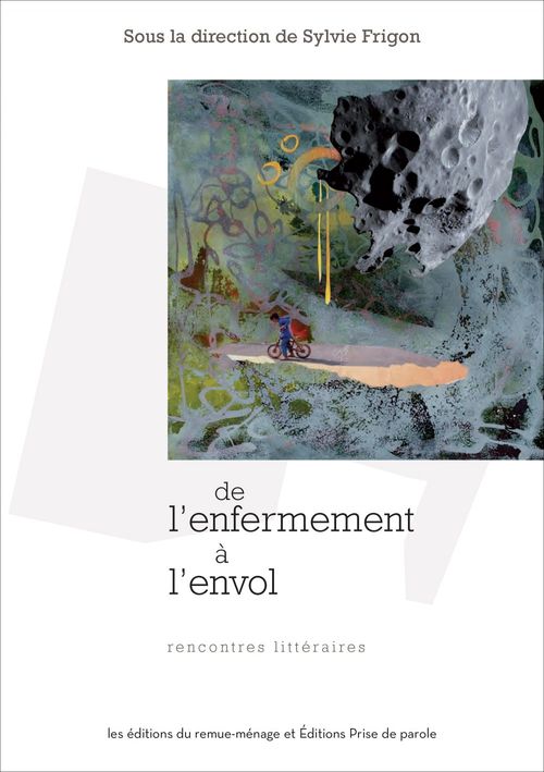 ebook cover of De l´enfermement à l´envol, by Sylvie Frigon