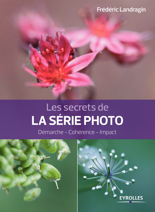 ebook cover of Les secrets de la série photo, by Frédéric Landragin