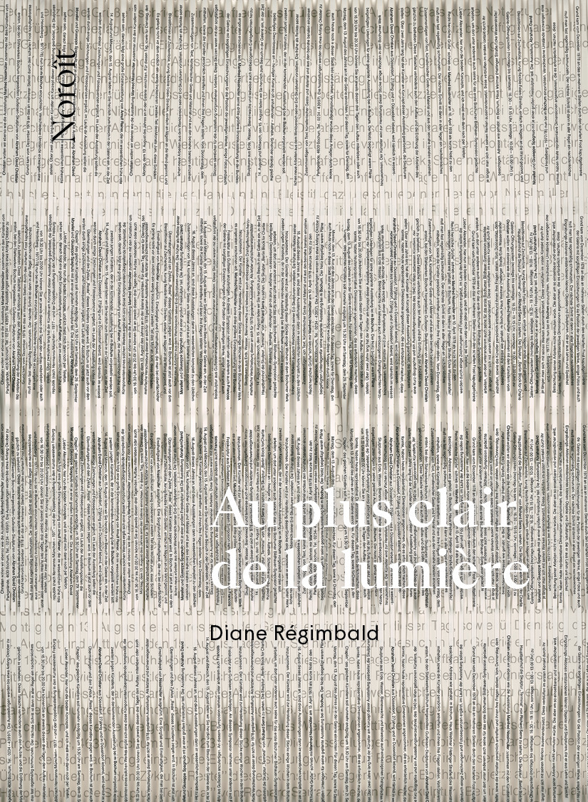 ebook cover of Au plus clair de la lumière, by Diane Régimbald