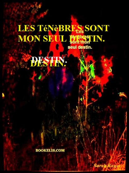 ebook cover of Les ténèbres sont mon seul destin., by Sarah Sagot