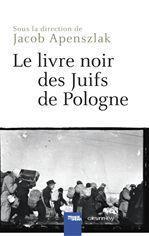 ebook cover of Le Livre noir des Juifs de Pologne, by