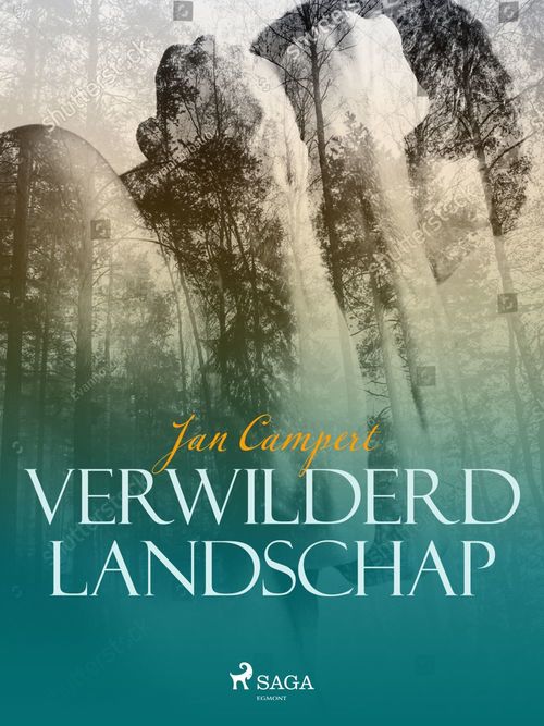 Couverture ebook de Verwilderd landschap, de Jan Campert