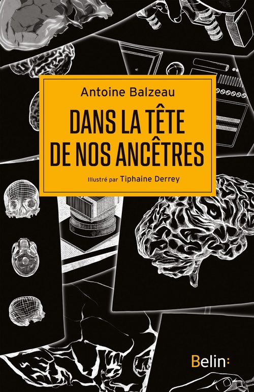 Couverture ebook de Dans la tête de nos ancêtres, de Antoine Balzeau, Tiphaine Derrey