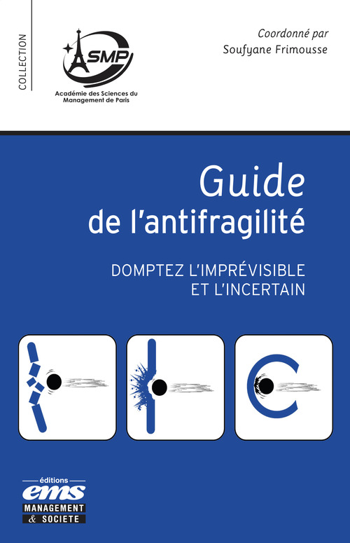ebook cover of Guide de l´antifragilité, by Soufyane Frimousse