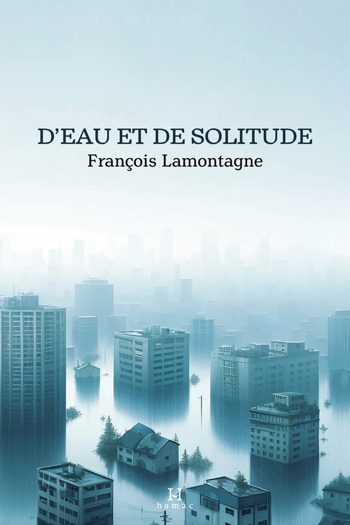 Couverture ebook de D'eau et de solitude, de François Lamontagne