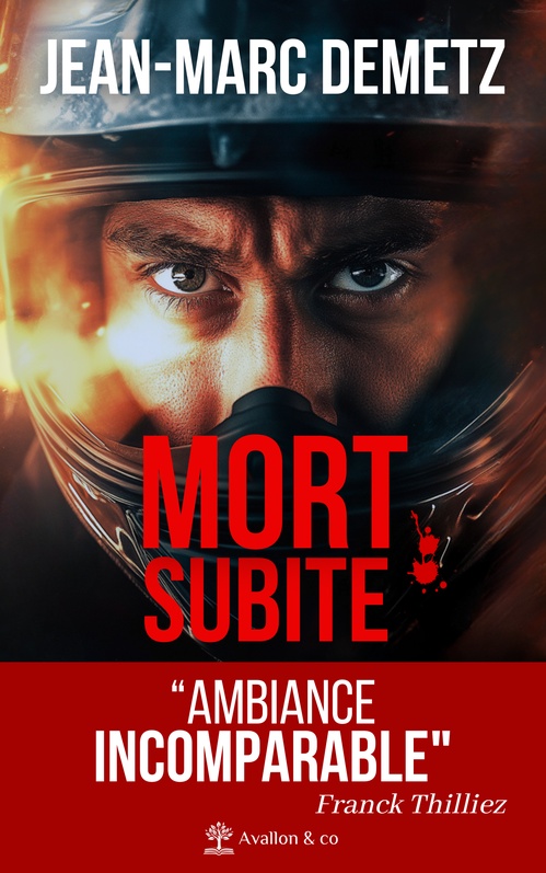 Couverture ebook de Mort Subite, de Jean-Marc Demetz