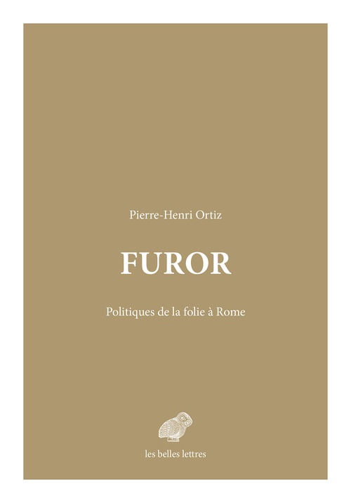 ebook cover of Furor, by Pierre-Henri Ortiz