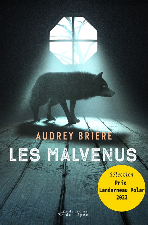 ebook cover of Les Malvenus, by Audrey Brière