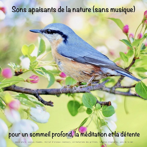 audiobook cover of Sons apaisants de la nature (sans musique) pour un sommeil profond, la méditation et la détente, by Yella A. Deeken