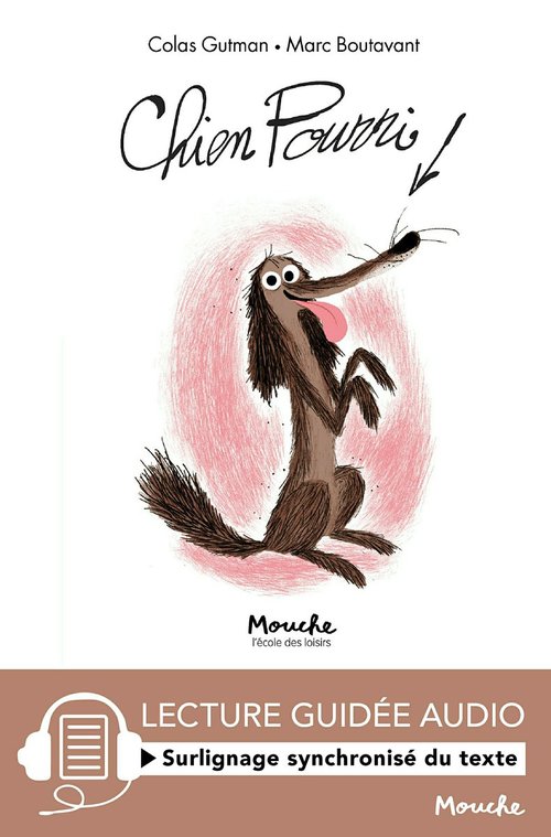 ebook cover of Chien pourri, by Colas Gutman