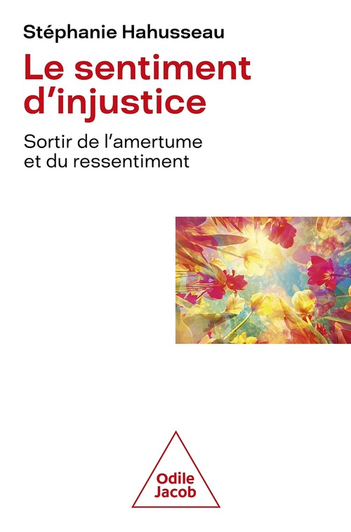 Couverture ebook de Le Sentiment d'injustice, de Stéphanie Hahusseau