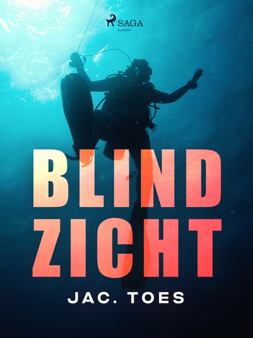 Couverture ebook de Blind zicht, de Jac. Toes
