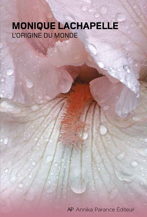 ebook cover of L'origine du monde, by Monique Lachapelle