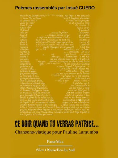 ebook cover of Ce soir quand tu verras Patrice..., by Josué Guébo