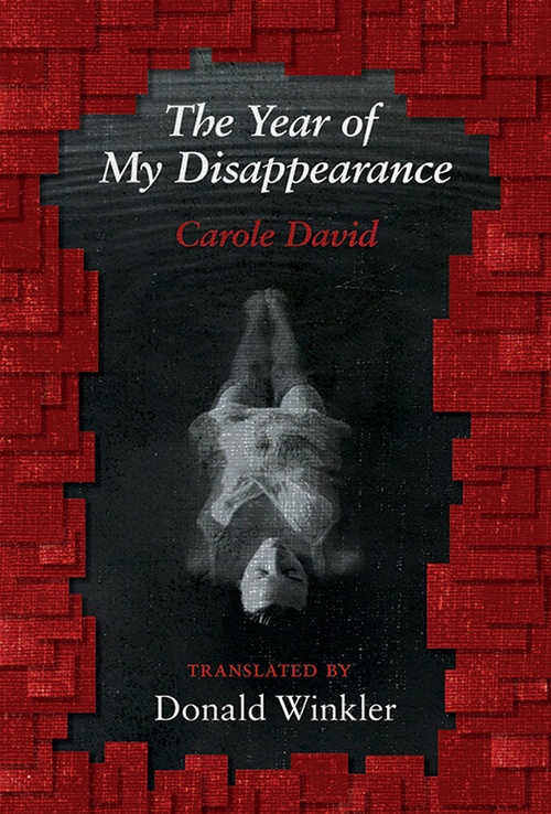 Couverture ebook de The Year of My Disappearance, de Carole David