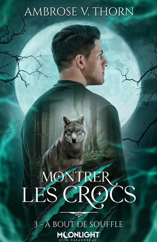 ebook cover of À bout de souffle, by Ambrose V. Thorn