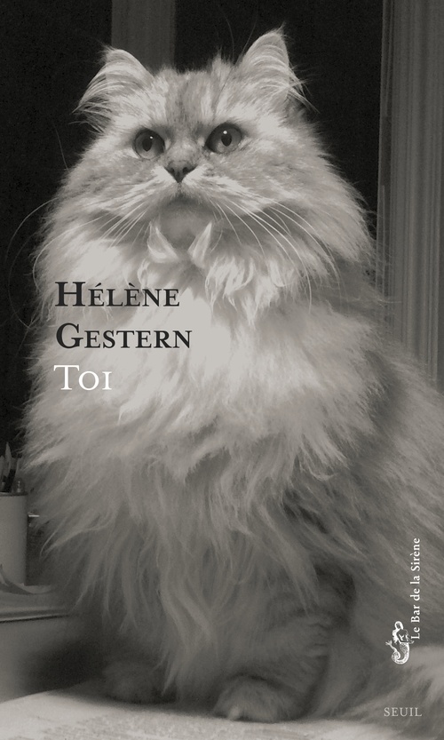 ebook cover of Toi, by Hélène Gestern