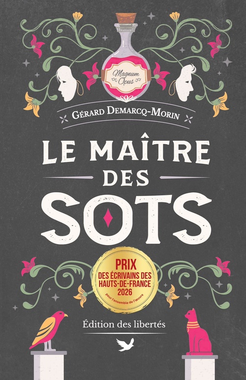 Couverture ebook de Le Maître des sots, de Gérard Demarcq-Morin