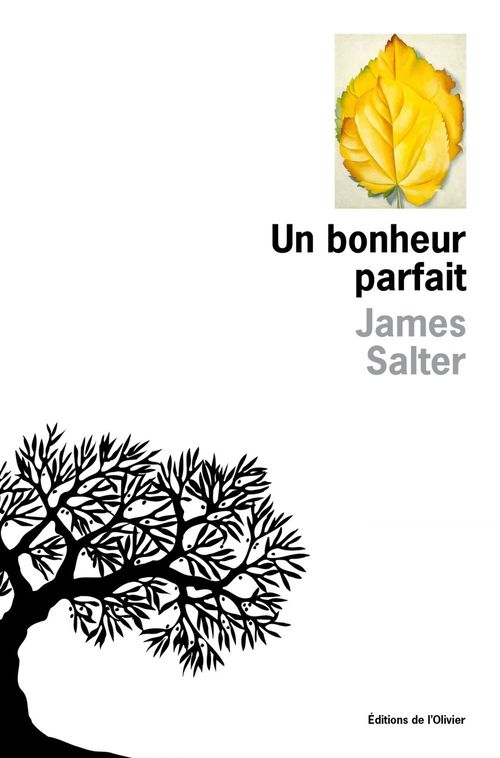 Couverture ebook de Un bonheur parfait, de James Salter