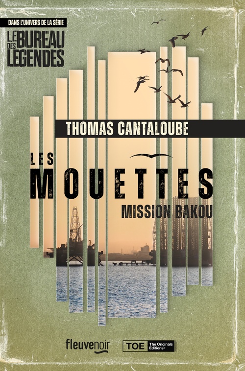 ebook cover of Les Mouettes - Mission Bakou, by Thomas Cantaloube