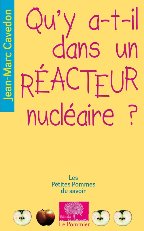 ebook cover of Qu'y a-t-il dans un réacteur nucléaire ?, by Jean-marc Cavedon