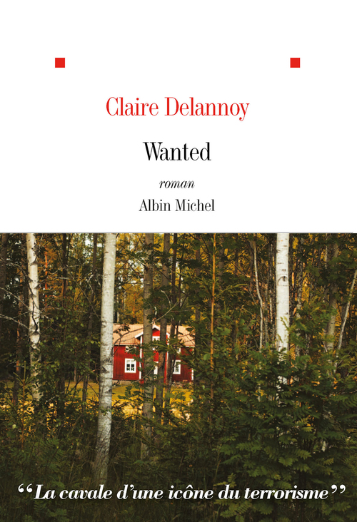 Couverture ebook de Wanted, de Claire Delannoy