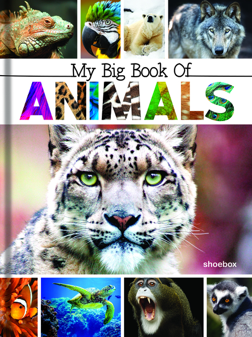 Couverture ebook de My Big Book of Animals, de Claire Chabot