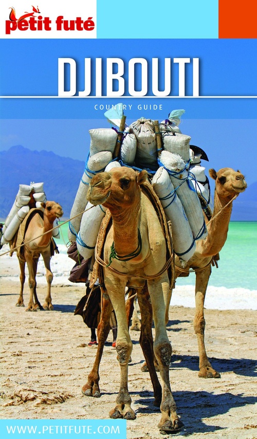 Couverture ebook de DJIBOUTI 2020/2021 Petit Futé, de Collectif petit futé