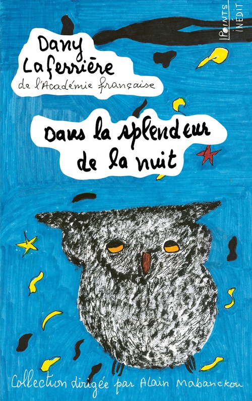 ebook cover of Dans la splendeur de la nuit, by Dany Laferrière