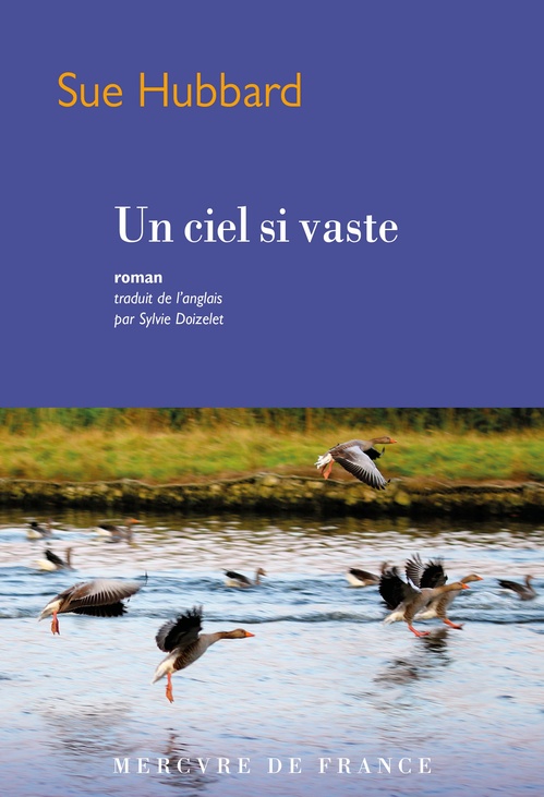 ebook cover of Un ciel si vaste, by Sue Hubbard