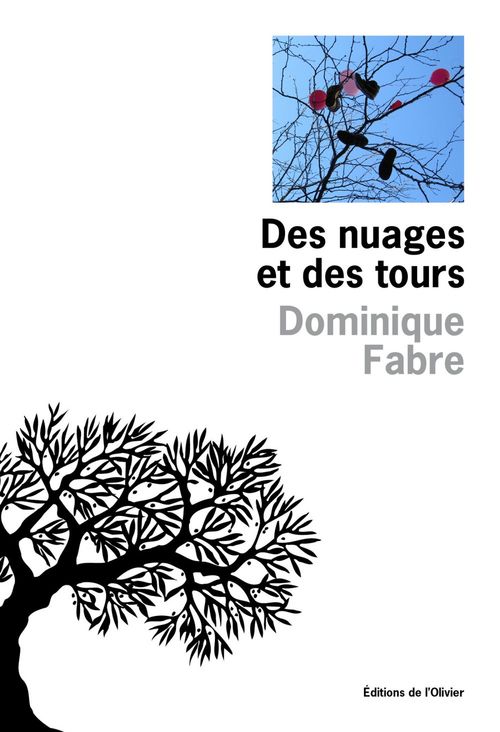 ebook cover of Des nuages et des tours, by Dominique Fabre