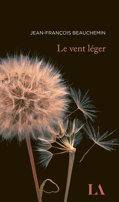 ebook cover of Le vent léger, by Jean-François Beauchemin