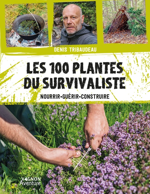 ebook cover of Les 100 plantes du survivaliste, by Denis Tribaudeau