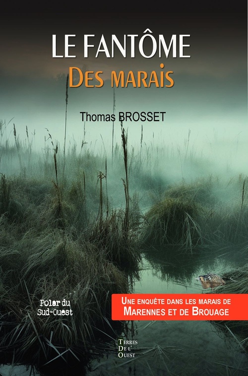 ebook cover of Le fantôme des marais, by Thomas Brosset