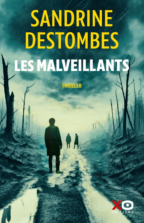 ebook cover of Les Malveillants, by Sandrine Destombes