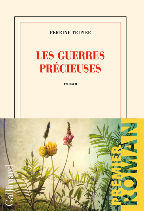 Couverture ebook de Les guerres précieuses, de Perrine Tripier