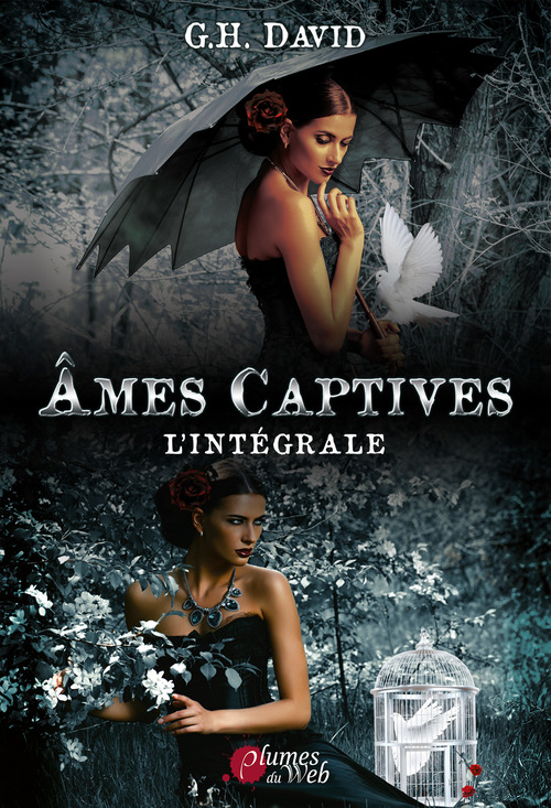 ebook cover of Âmes Captives - Intégrale, by G.H. David