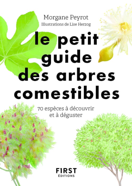 ebook cover of Petit guide des arbres comestibles, by Morgane Peyrot, Lise Herzog