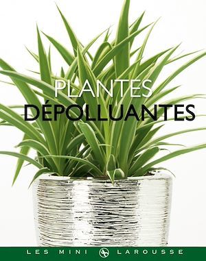 Couverture ebook de Plantes dépolluantes, de Collectif