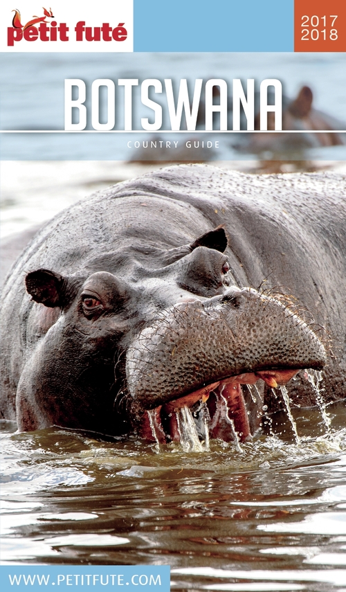 ebook cover of BOTSWANA 2017/2018 Petit Futé, by Collectif petit futé